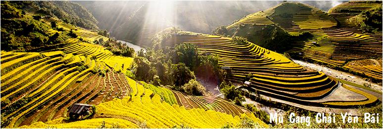 Du lịch Mù Cang Chải