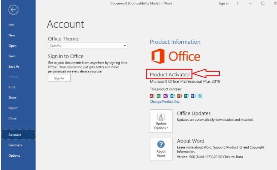 Office 2019 Key Active